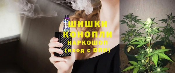 PSILOCYBIN Баксан