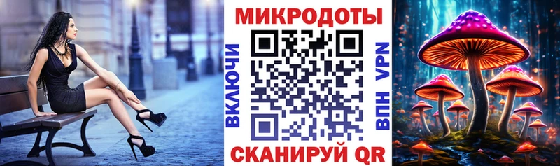 Псилоцибиновые грибы Cubensis Пыть-Ях